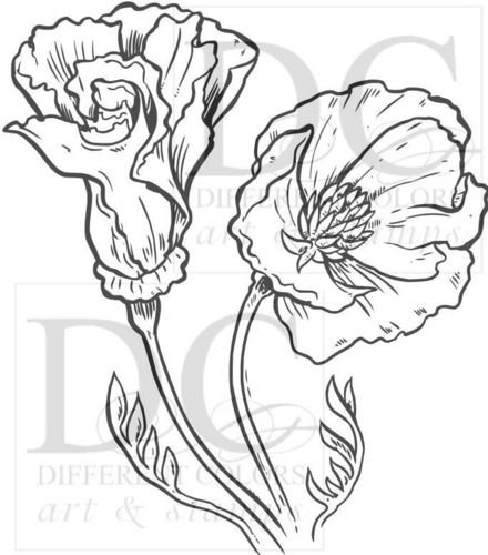 Blume Anemone
